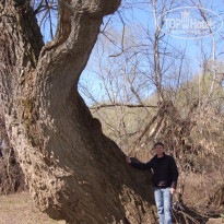 фото из отзыва ID 1267914