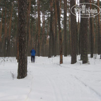 фото из отзыва ID 1267914