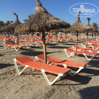 фото из отзыва ID 1267940