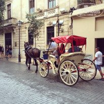 фото из отзыва ID 1267940