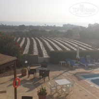 фото из отзыва ID 1268229