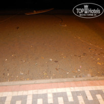 фото из отзыва ID 1268270