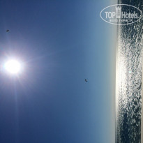 фото из отзыва ID 1268326