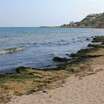 фото из отзыва ID 1268375