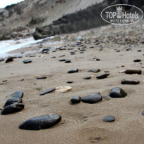 фото из отзыва ID 1268375