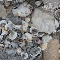 фото из отзыва ID 1268375