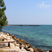 фото из отзыва ID 1268375