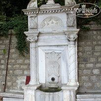 фото из отзыва ID 1268375