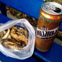 фото из отзыва ID 1268375