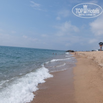 фото из отзыва ID 1268435