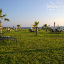 фото из отзыва ID 1268561