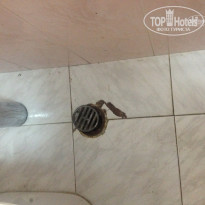 фото из отзыва ID 1268623