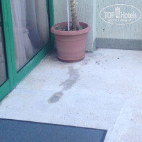 фото из отзыва ID 1268623