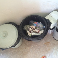 фото из отзыва ID 1268793