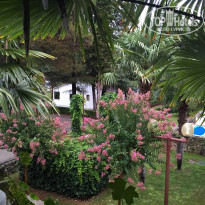 фото из отзыва ID 1268823