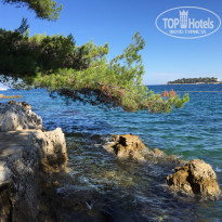 фото из отзыва ID 1268823