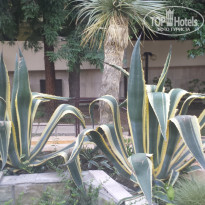 фото из отзыва ID 1268834