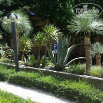 фото из отзыва ID 1268834