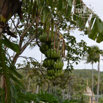 фото из отзыва ID 1269074