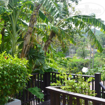 фото из отзыва ID 1269074