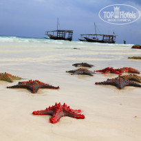 фото из отзыва ID 1269139