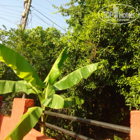 фото из отзыва ID 1269179