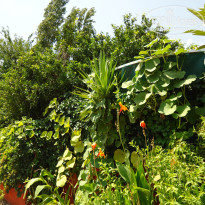 фото из отзыва ID 1269179