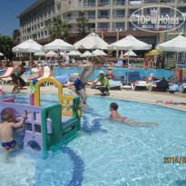 фото из отзыва ID 1269213