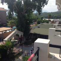 фото из отзыва ID 1269262