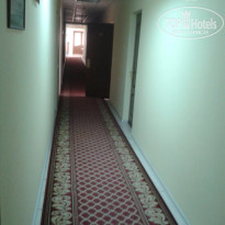 фото из отзыва ID 1269354