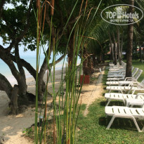 фото из отзыва ID 1269360