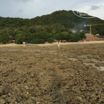 фото из отзыва ID 1269360