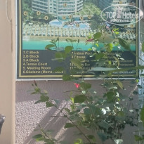 фото из отзыва ID 1269496