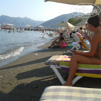 фото из отзыва ID 1269549