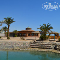 фото из отзыва ID 1269565