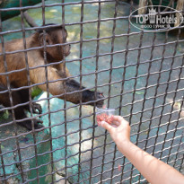 фото из отзыва ID 1269620