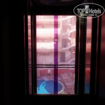 фото из отзыва ID 1269679