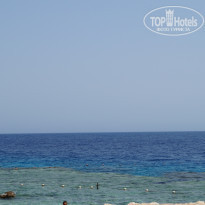 фото из отзыва ID 1269855