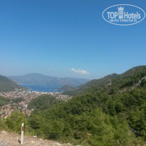 фото из отзыва ID 1269929