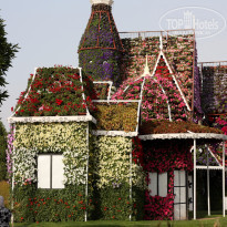 фото из отзыва ID 1269930