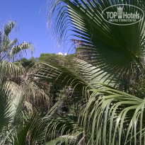 фото из отзыва ID 1269998