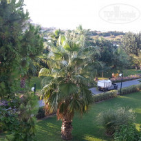 фото из отзыва ID 1266575