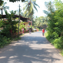 фото из отзыва ID 1265410