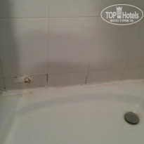 фото из отзыва ID 1268316