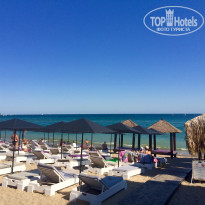 фото из отзыва ID 1265168