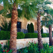 фото из отзыва ID 1265168