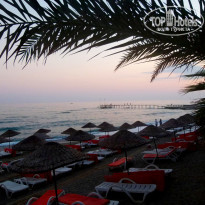 фото из отзыва ID 1260824