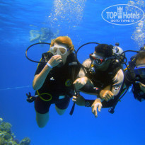 фото из отзыва ID 1263103