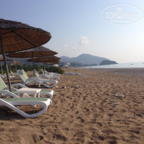 фото из отзыва ID 1265795