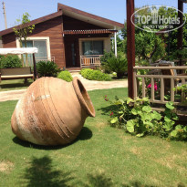 фото из отзыва ID 1265795